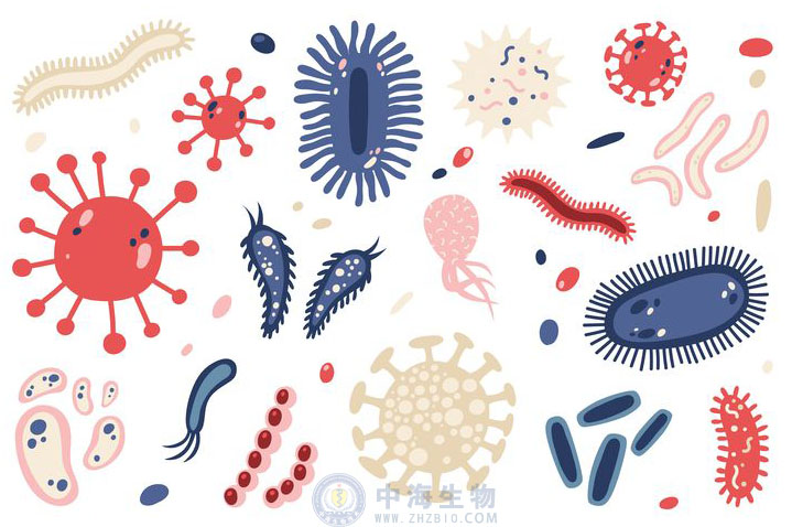 微生物是什么？哪些營(yíng)養(yǎng)物質(zhì)促進(jìn)微生物生長(zhǎng)繁殖？